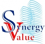 Synergy Value