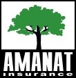 Стpаховая компания «Amanat insurance»