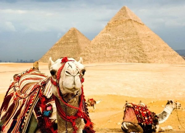 Турагенства пока не отправляют туристов в Египет