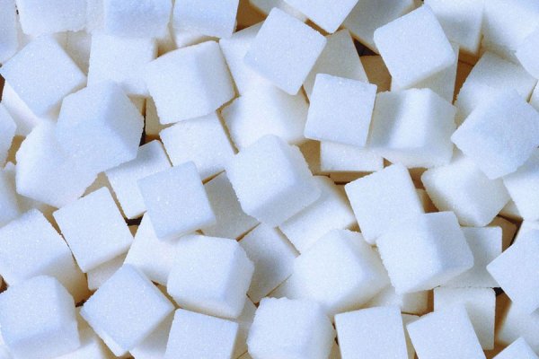 В Северном Казахстане будет запущен сахарный завод